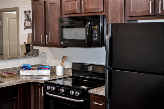 Apartment Gallery - 8
