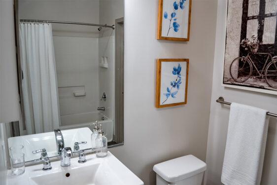 Apartment Gallery - 5